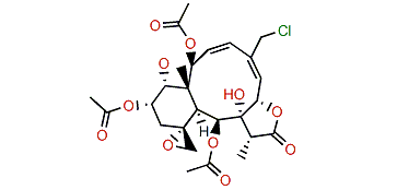 Juncenolide M